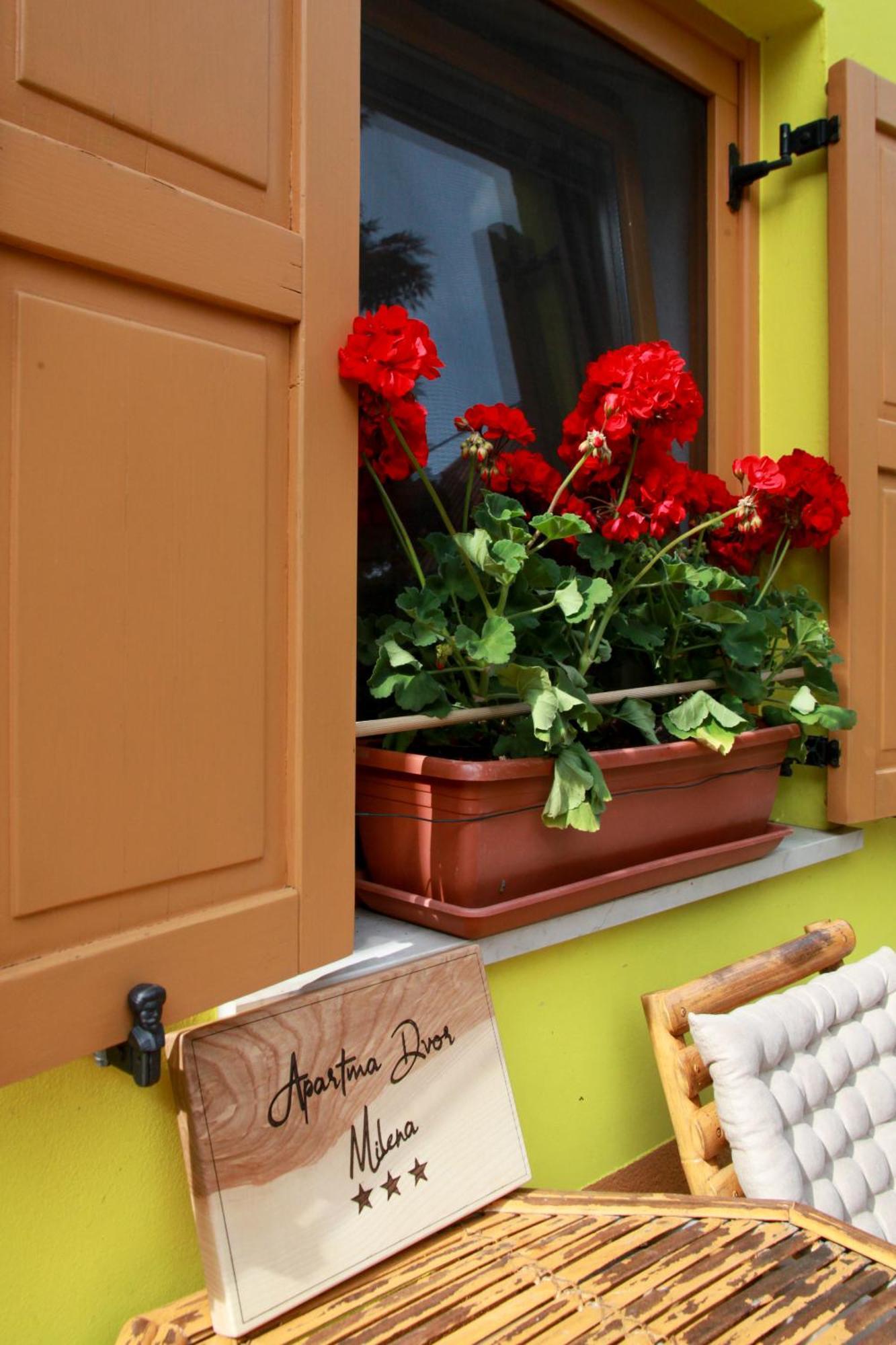 Apartma Dvor Milena Bovec Exteriér fotografie